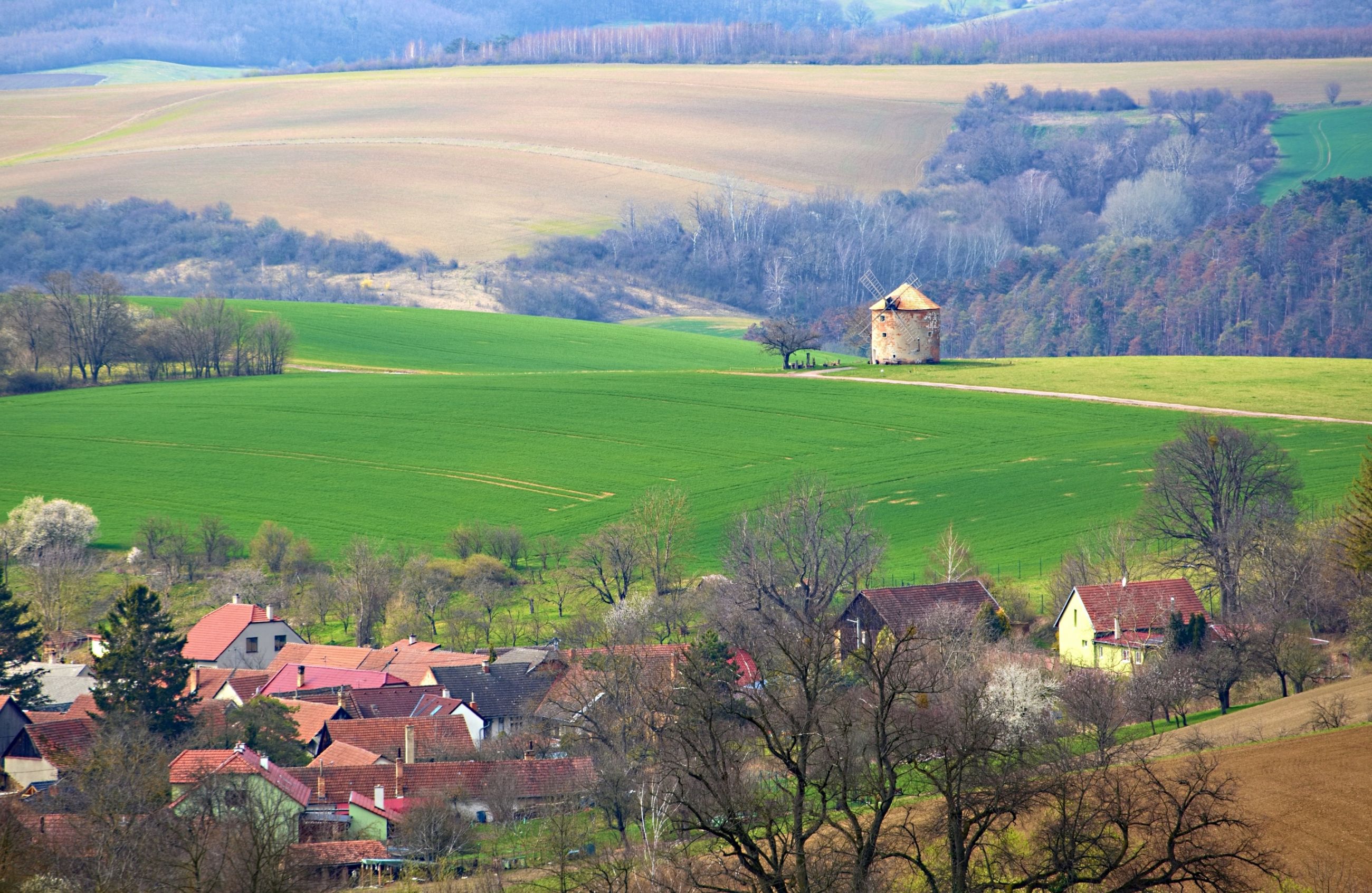 Beze jména